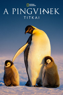A pingvinek titkai
