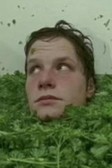 Parsley Days