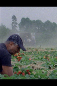 Sunny Life Farms