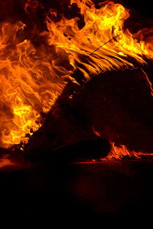 Fire in Paradise