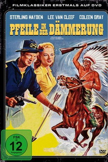 Pfeile in der Dämmerung