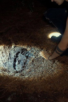 Shadows of Bigfoot