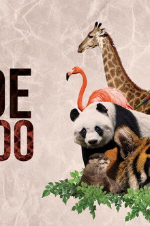 Inside The Zoo