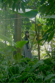 散歩する植物