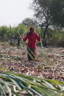 Inde : les villages sans utérus / RDC : le long chemin d’un salaire