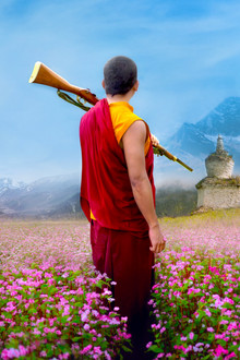 The Monk and the Gun