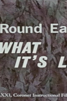 Our Round Earth: What It's Like