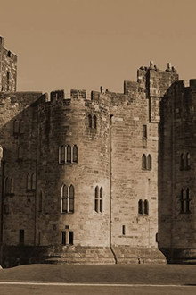 Battle Castle