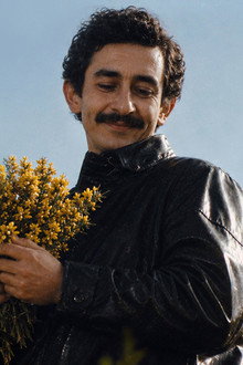 Les Ajoncs