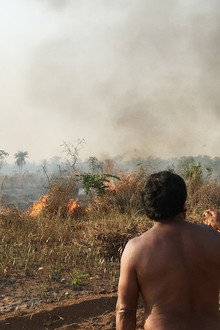 Fogo na Floresta