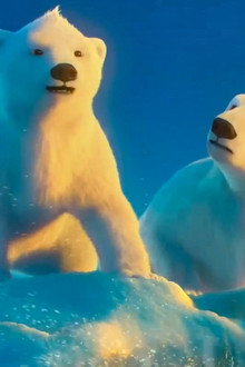 The Polar Bears