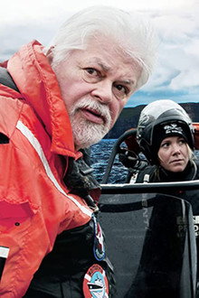 Whale Wars: Viking Shores