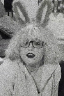 Pet Bunny