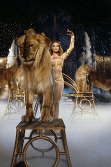 Roselyne et les lions