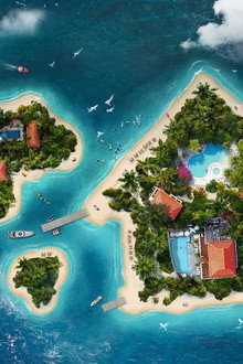 Island Life