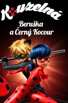 Kouzelná Beruška a Černý Kocour