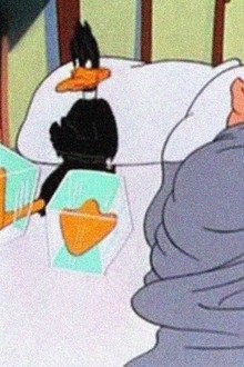 Daffy Duck Slept Here
