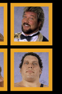 WWE Survivor Series 1989
