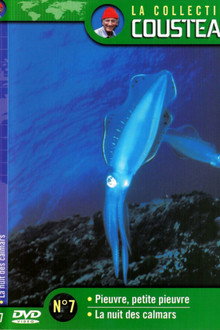 La collection Cousteau N°7 | Pieuvre, petite pieuvre | La nuit des calmars