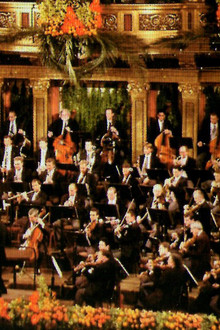 Neujahrskonzert der Wiener Philharmoniker 2002