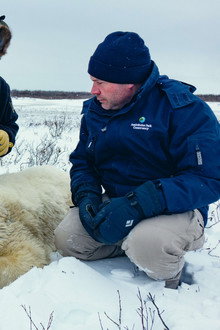 Arctic Vets