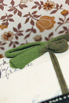 Taking Cuttings