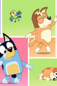 Bluey Minisodes
