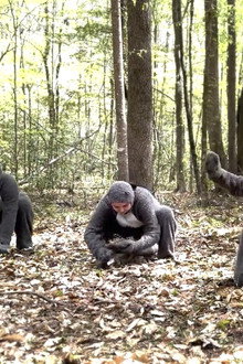Nature Planet: Squirrels