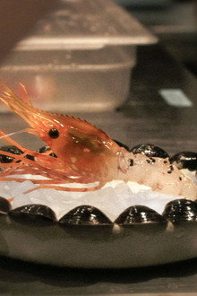 Ants on a Shrimp