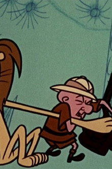 Bwana Magoo