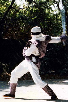 The Ninja Showdown