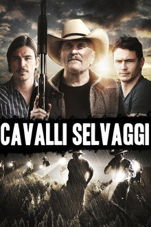 Cavalli selvaggi