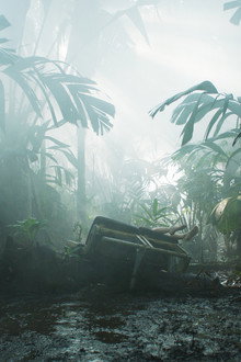 Transamazonia