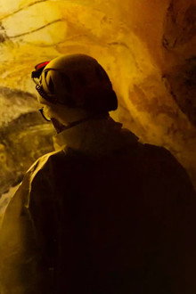 Chauvet, voyage aux origines