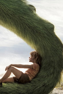 Pete's Dragon