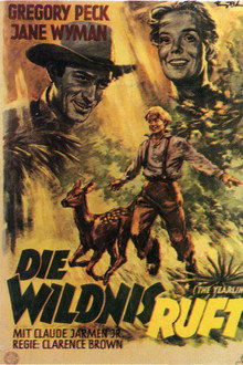Die Wildnis ruft