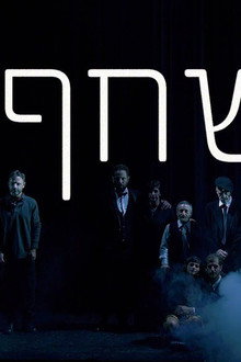 השחף