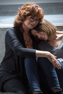 The Meddler