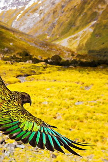 New Zealand: Earth's Mythical Islands