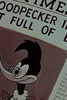 The Woody Woodpecker and Friends Classic Cartoon Collection: Volume 2