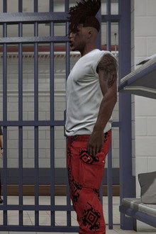 Chain-Link