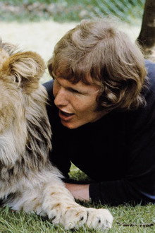 A Lion Called Christian