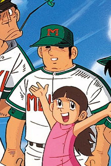 Mr. Baseball