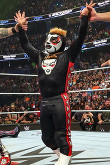 Mascarita Dorada