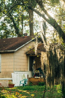 Mossville: When Great Trees Fall