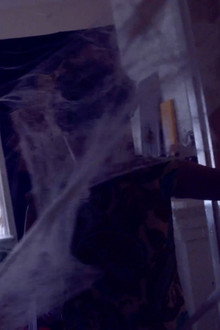 Along came a spider
