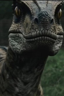 Raptor Attack