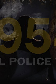 1954 MOBEL POLICE WING