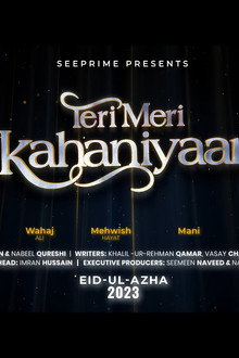 Teri Meri Kahaniyaan