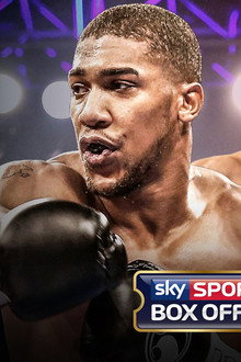 Anthony Joshua vs. Eric Molina